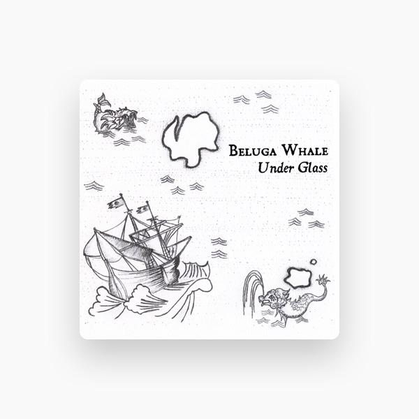 Beluga Whale