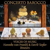 Canon and Gigue for Three Violins and Basso Continuo in D Major