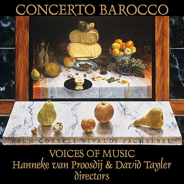 Concerto Grosso Op. 6, No 8 in G Minor (Christmas): Vivace - Grave