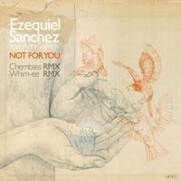 Not for You (Whim-Ee Remix) [feat. Ann Santos]