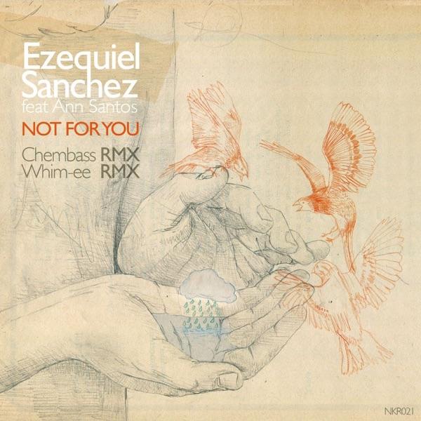 Not for You (Whim-Ee Remix) [feat. Ann Santos]