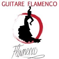 Flamenco Flamenco