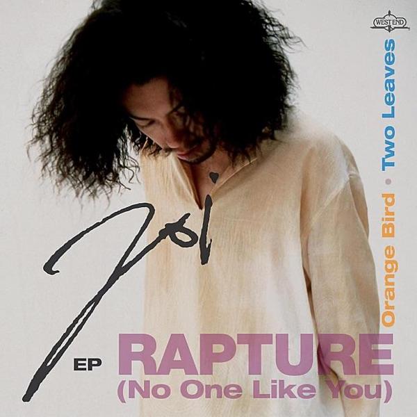 Rapture (No One Like You) [Main Mix]