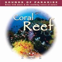 On The Whales' Reef
