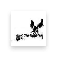 No Bird Sing