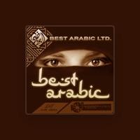 Arabic Ltd.