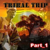 Tribal Attack