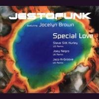 Special Love (feat. Jocelyn Brown) [Soulfuric Special Dub]