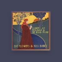 The Bevis Frond