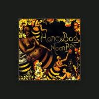 Honeybody Moonbee