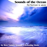 Sounds of the Ocean Perfection and Waves