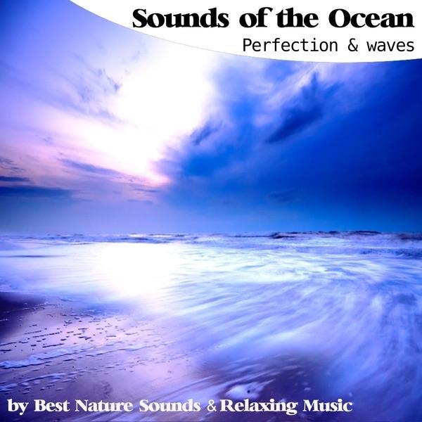 Sounds of the Ocean Perfection and Waves
