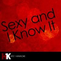 Sexy and I Know It (Karaoke Version)