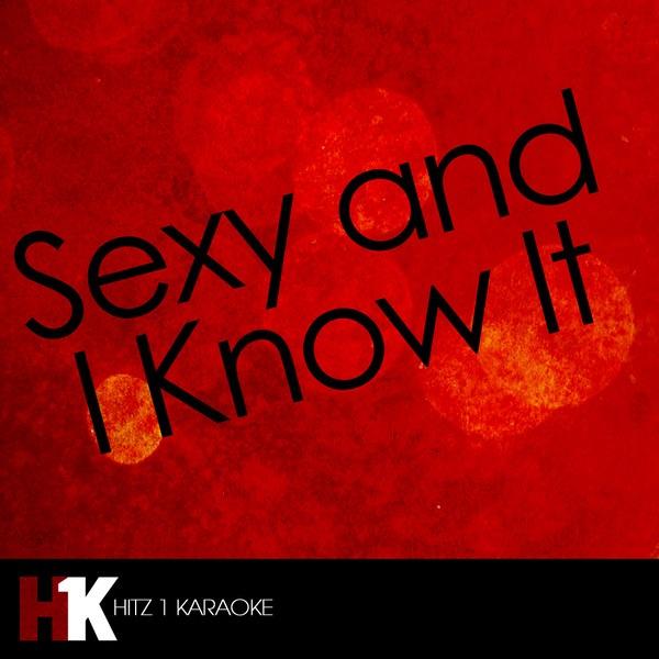 Sexy and I Know It (Karaoke Version)