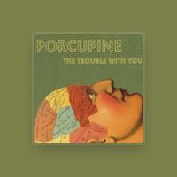 Porcupine