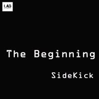 Suck my Disco (Original Mix) [Original Mix]