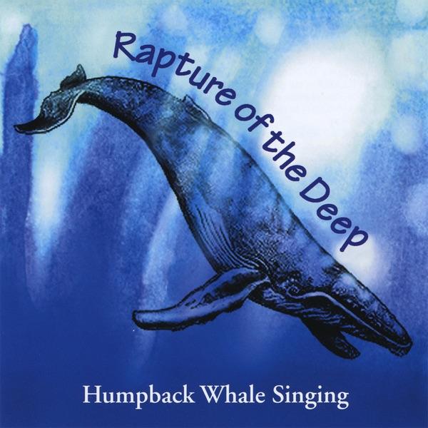 Breaching (Jumping) Whales