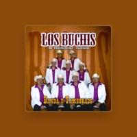 Los Buchis De Chalchihuites, Zacatecas