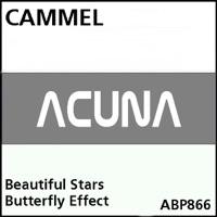 Beautiful Stars