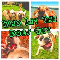 Who Let The Dogs Out (Baha Men Salute)