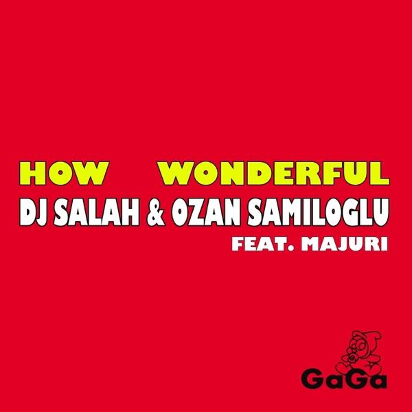 How Wonderful (feat. Majuri) [Instrumental Mix]