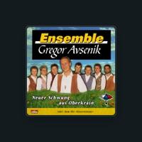 Ensemble Gregor Avsenik