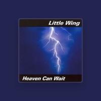 Little Wing