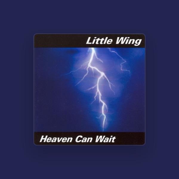 Little Wing