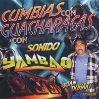 Cumbia Z
