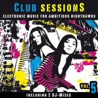 Squeeze Me (Fedde Le Grand Dub)