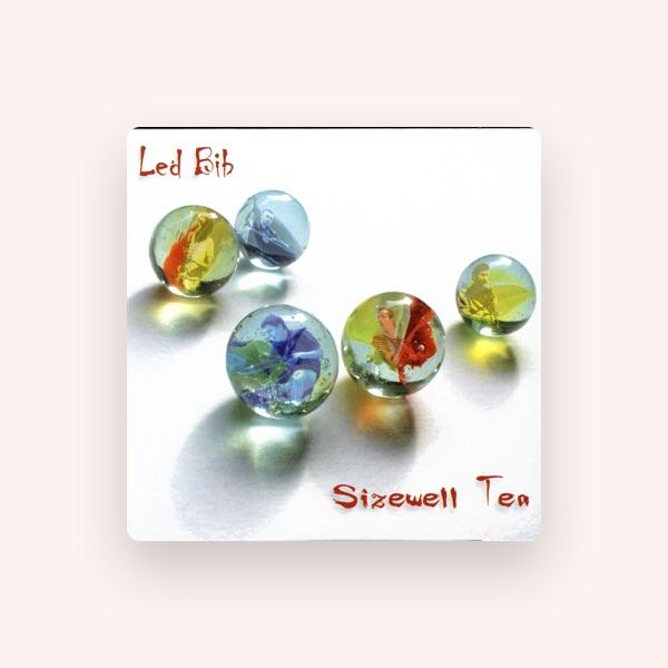 Led Bib