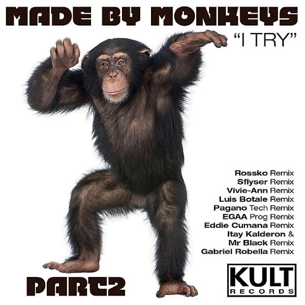 I Try (Luis Botala House Remix Made By monkeys re-edit)