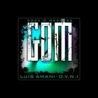 Luis Amani