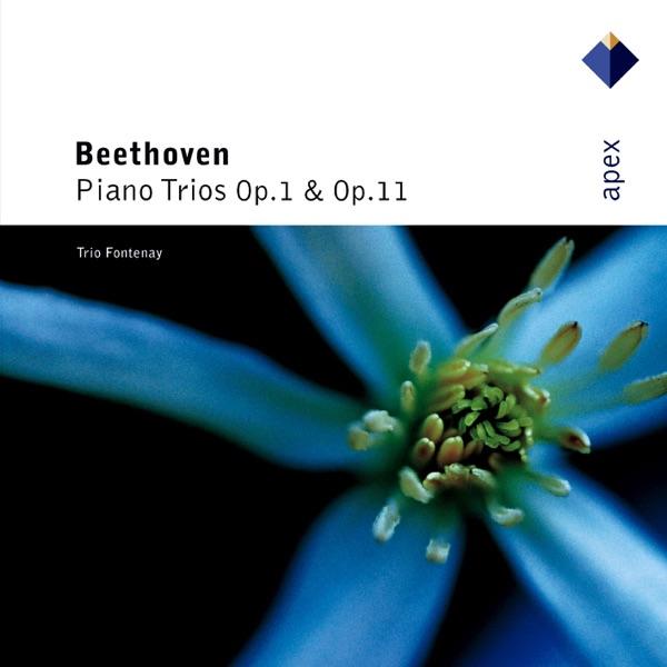 Piano Trio No. 2 in G Major, Op. 1 No. 2: IV. Finale - Presto