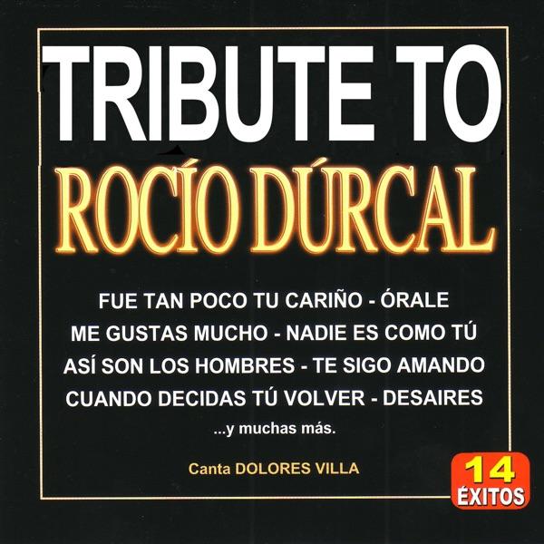 Cuando decidas tú volver (Tribute Version)