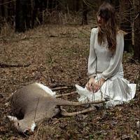 Cold and Dreamless