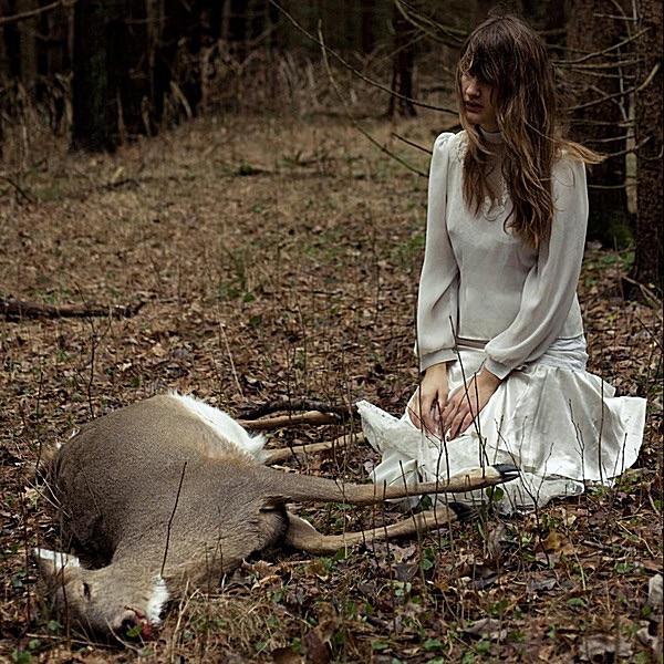Cold and Dreamless