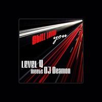 Level 4