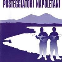 Te Voglio Bene Assaje