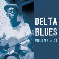 Travellin' Mama Blues