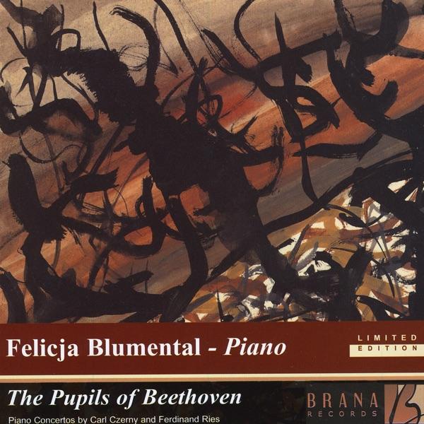 Piano Concerto in C-sharp minor, Op. 55: Allegro Maestoso