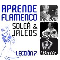 Ritmo De Jaleos