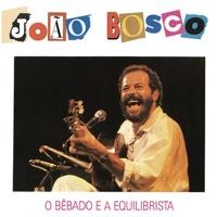 O Bêbado e a Equilibrista