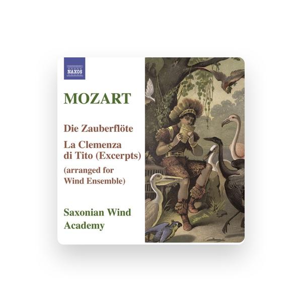 Saxonian Woodwind Academy