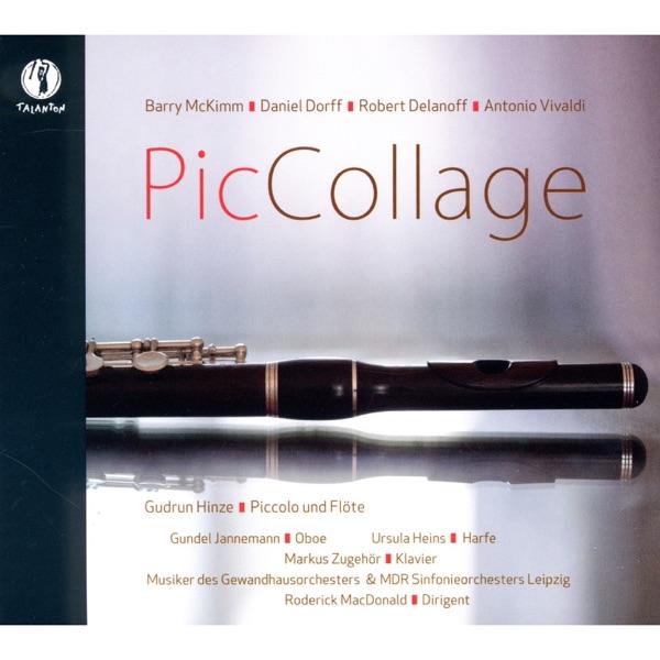 Concerto für Piccolo und Orchester in A Minor, RV 445: I. Allegro