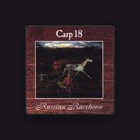 Carp 18