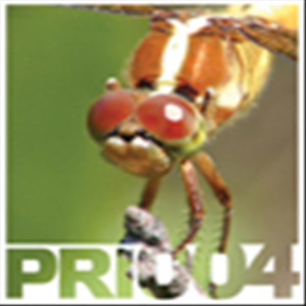Voiceless (Z05 Mix)