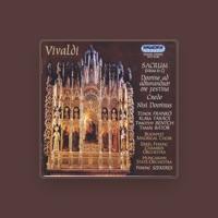 Erkel Ferenc Chamber Orchestra