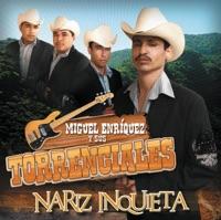 Los Barándales del Puente