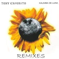 Kalimba De Luna (Kamasutra & Bini Club Vocal)